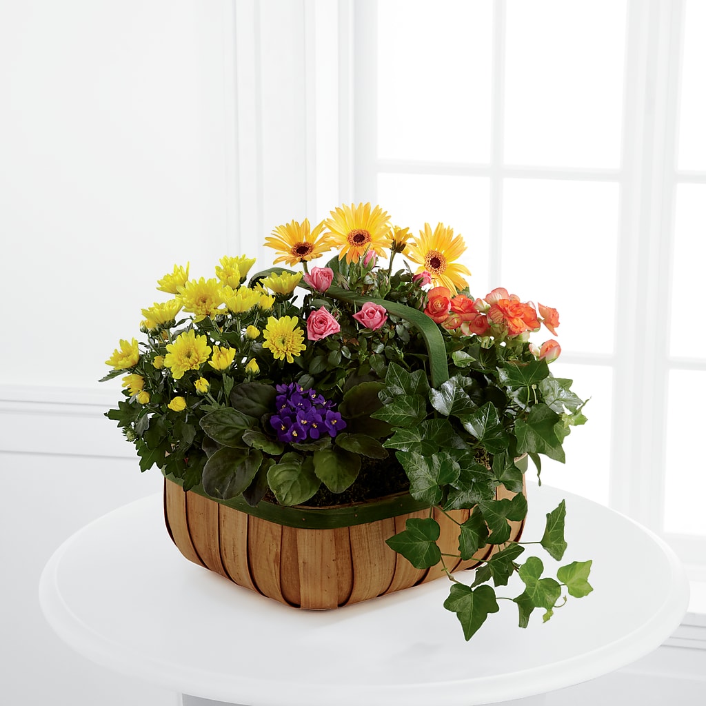 Gentle Blossoms Basket – Flowers By Vee, Tracy CA