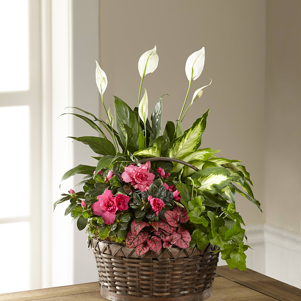 Dream in Pink Dishgarden – Flowers By Vee, Tracy CA
