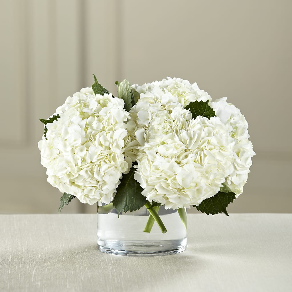 White Hydrangea Bouquet – Flowers By Vee, Tracy CA