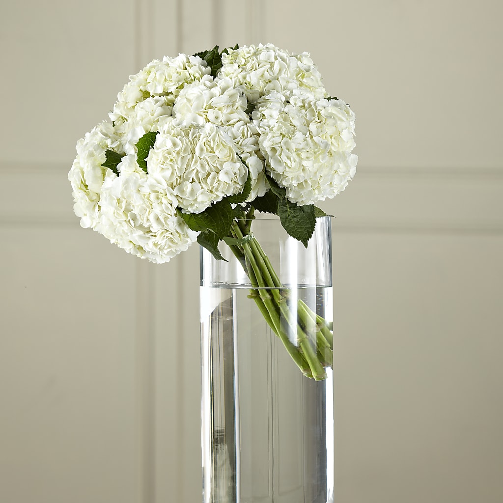 White Hydrangea Hand-Tied Bouquet – Flowers By Vee, Tracy CA