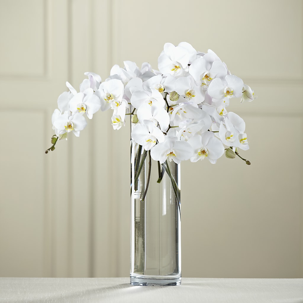 White Phalaenopsis Bouquet – Flowers By Vee, Tracy CA