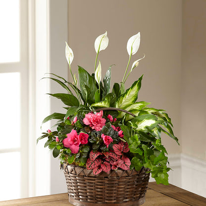 Dream in Pink Dishgarden –  Flowers By Vee, Tracy CA