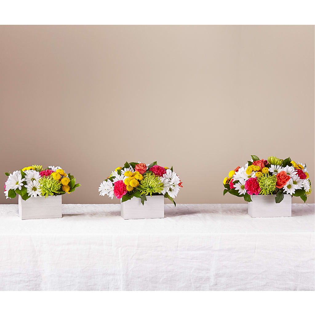 Sorbet Bouquet –  Flowers By Vee, Tracy CA