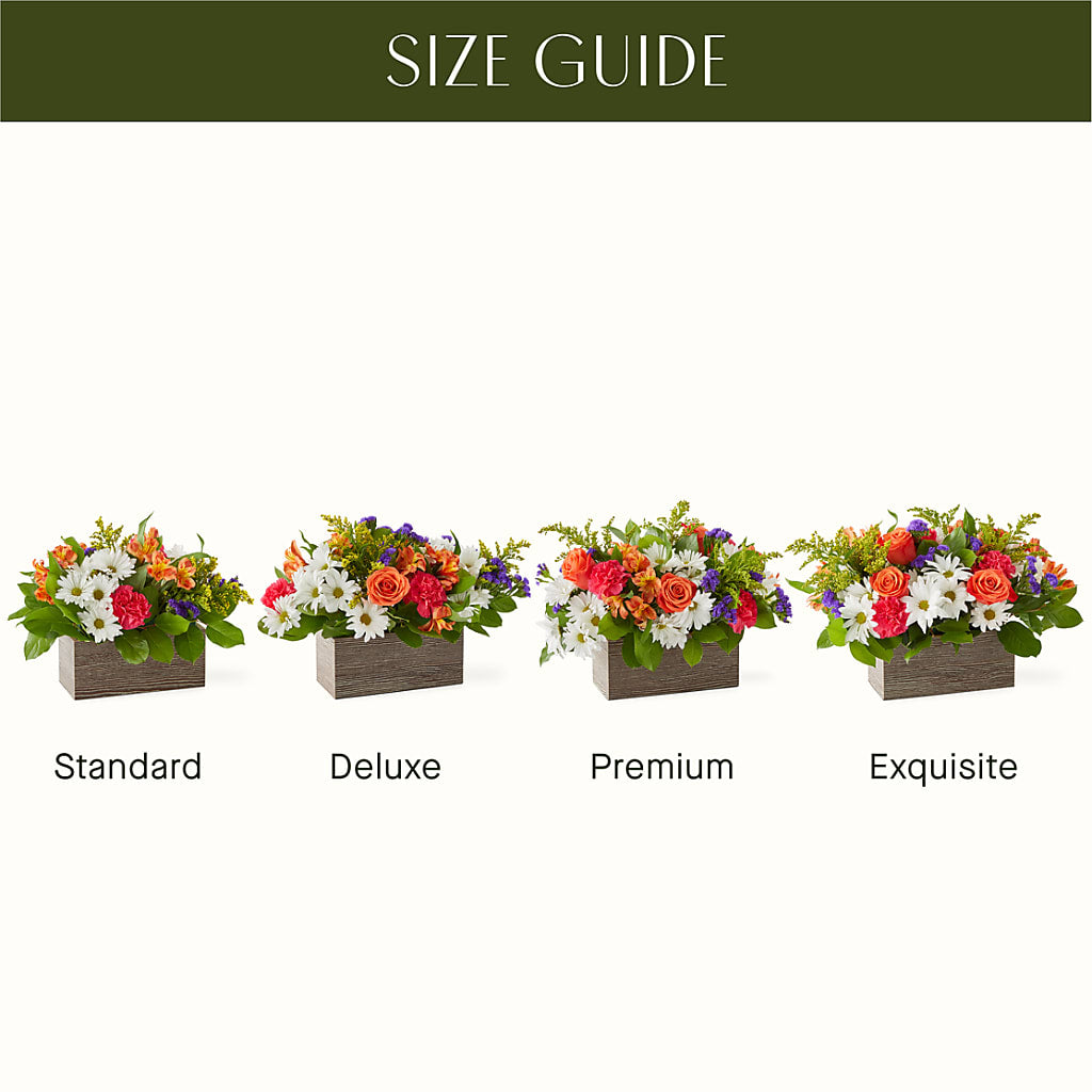Oopsie Daisy Box Bouquet –  Flowers By Vee, Tracy CA