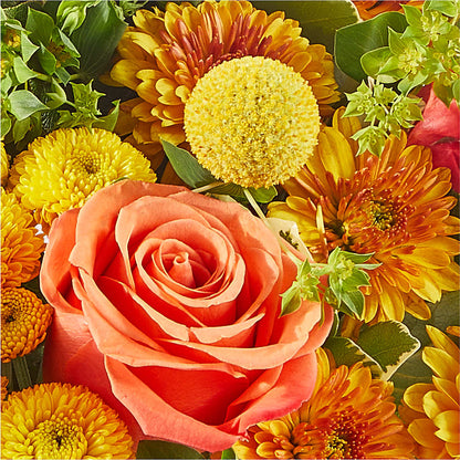Gourdgeous Pumpkin –  Flowers By Vee, Tracy CA
