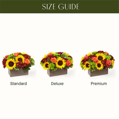Happy Harvest Garden –  Flowers By Vee, Tracy CA
