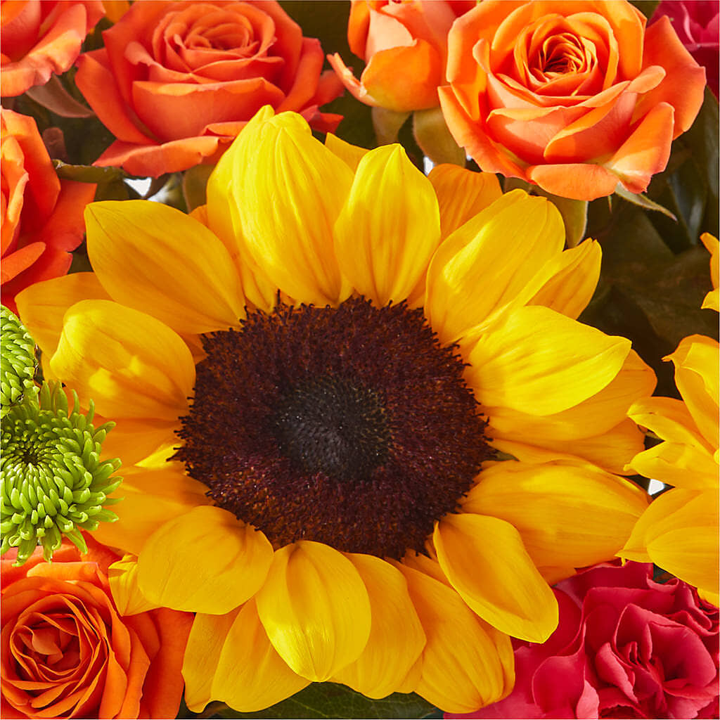 Sun-drenched Blooms Box Bouquet –  Flowers By Vee, Tracy CA