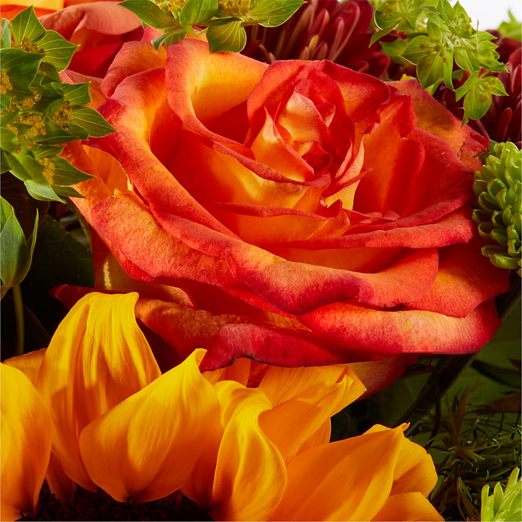 Harvest Festival Bouquet –  Flowers By Vee, Tracy CA