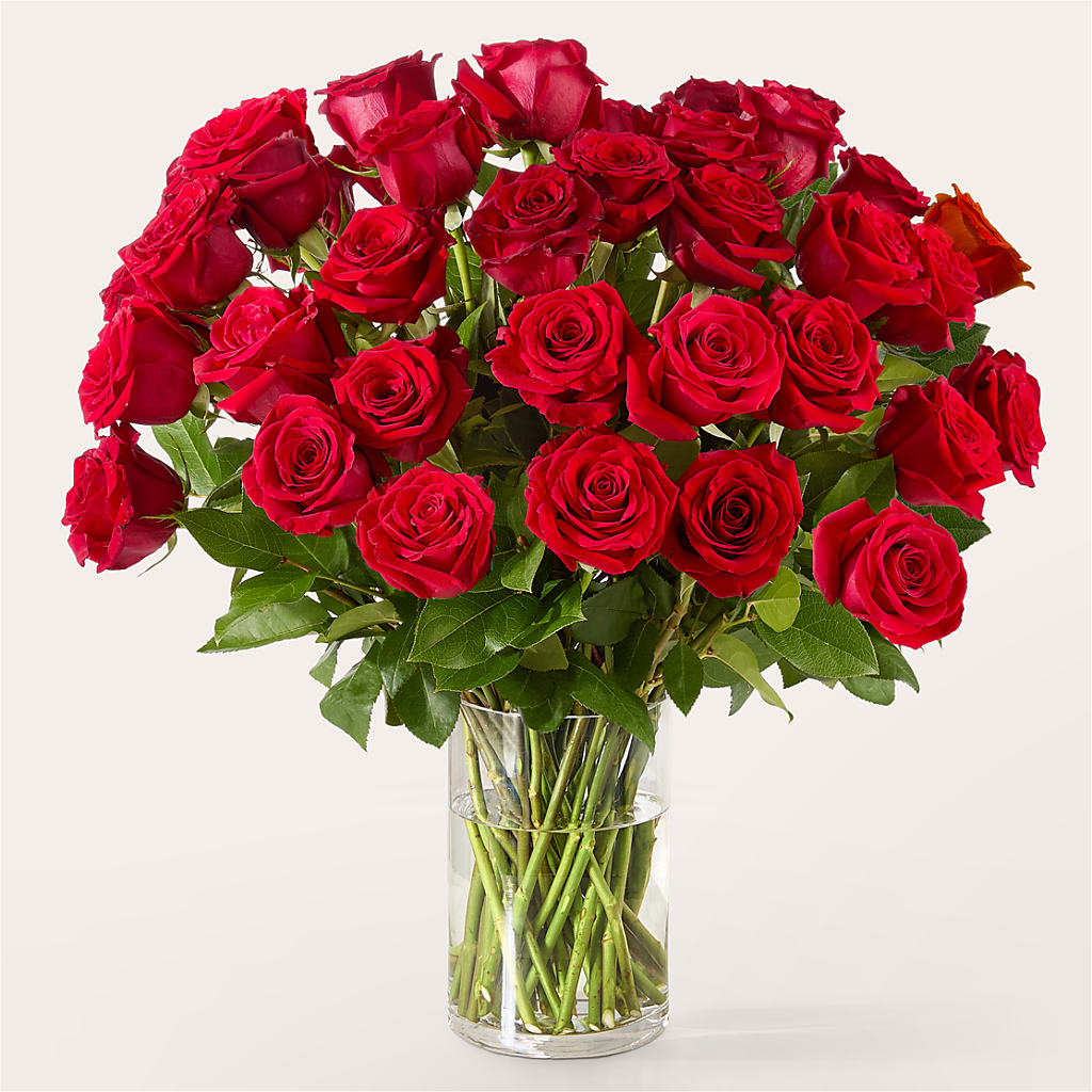 The One Red Rose Bouquet –  Flowers By Vee, Tracy CA