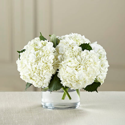 White Hydrangea Bouquet –  Flowers By Vee, Tracy CA