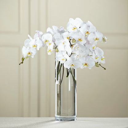 White Phalaenopsis Bouquet –  Flowers By Vee, Tracy CA